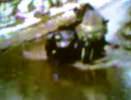 видео отчет в формате (3gp для телефонов)  о мини ралли- весенние дороги Нижегородской обл. 2006. 506kb