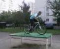 Тупой велосепедист (видео прикол для телефонов в формате 3GP)