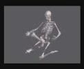 Скелеты (видео прикол для телефонов в формате 3GP)
